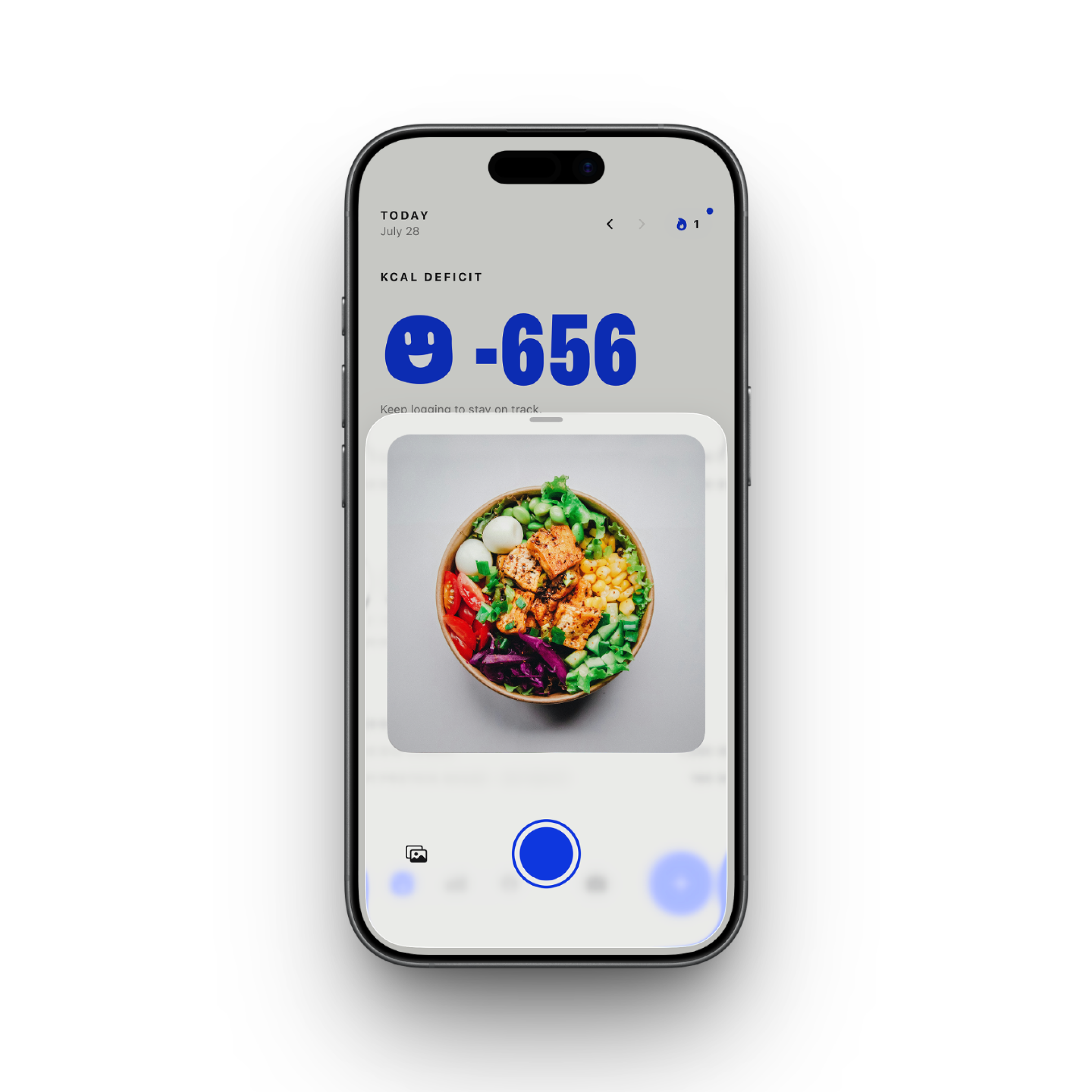 Scanning a meal with the camera